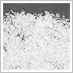 ICE FLAKES - DROBLJENI LED